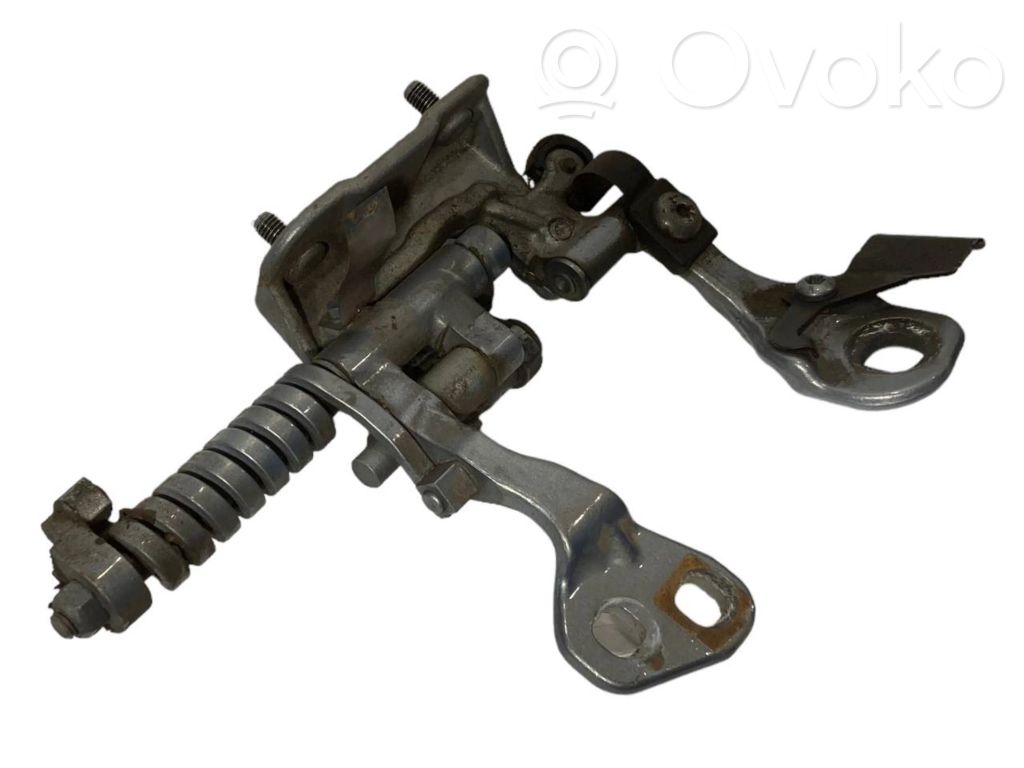 Aizmugurējā pārsega eņģe (-ess)