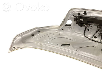 Aizmugurējais pārsegs (bagāžnieks)