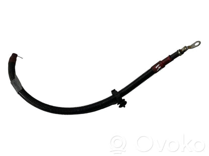 Plusa vads (akumulatora)