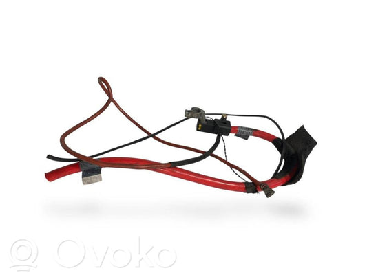 Plusa vads (akumulatora)