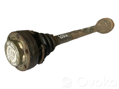 Aizmugurējā pusass