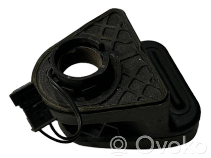 Aizmugurējā stikla aizmugurējā stikla atvēršanas rokturis