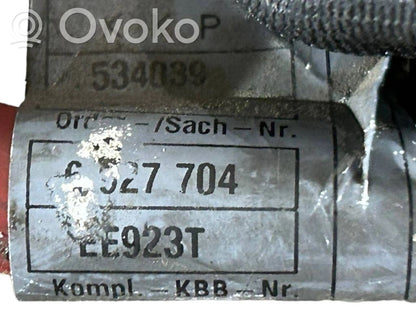 Plusa vads (akumulatora)