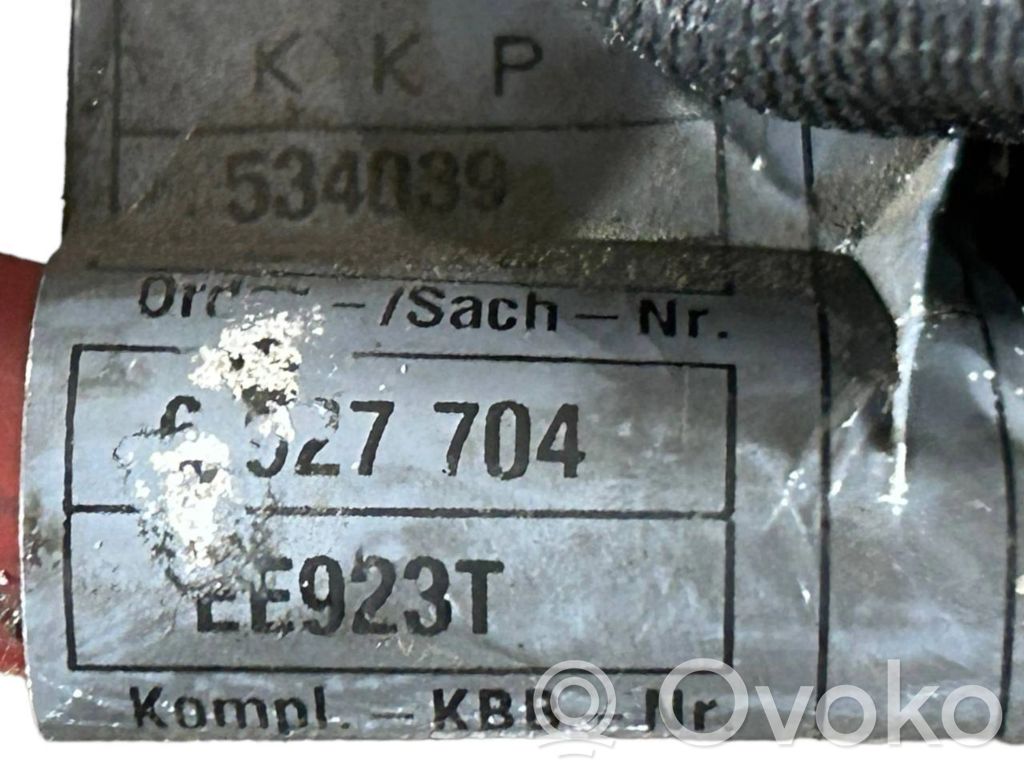 Plusa vads (akumulatora)