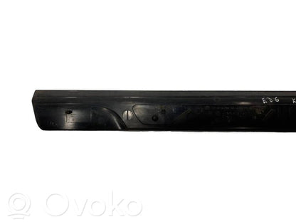 Front sill trim (inner)