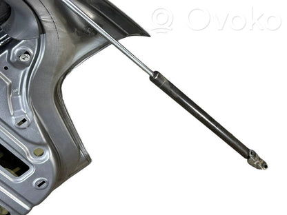 Aizmugurējais pārsegs (bagāžnieks)