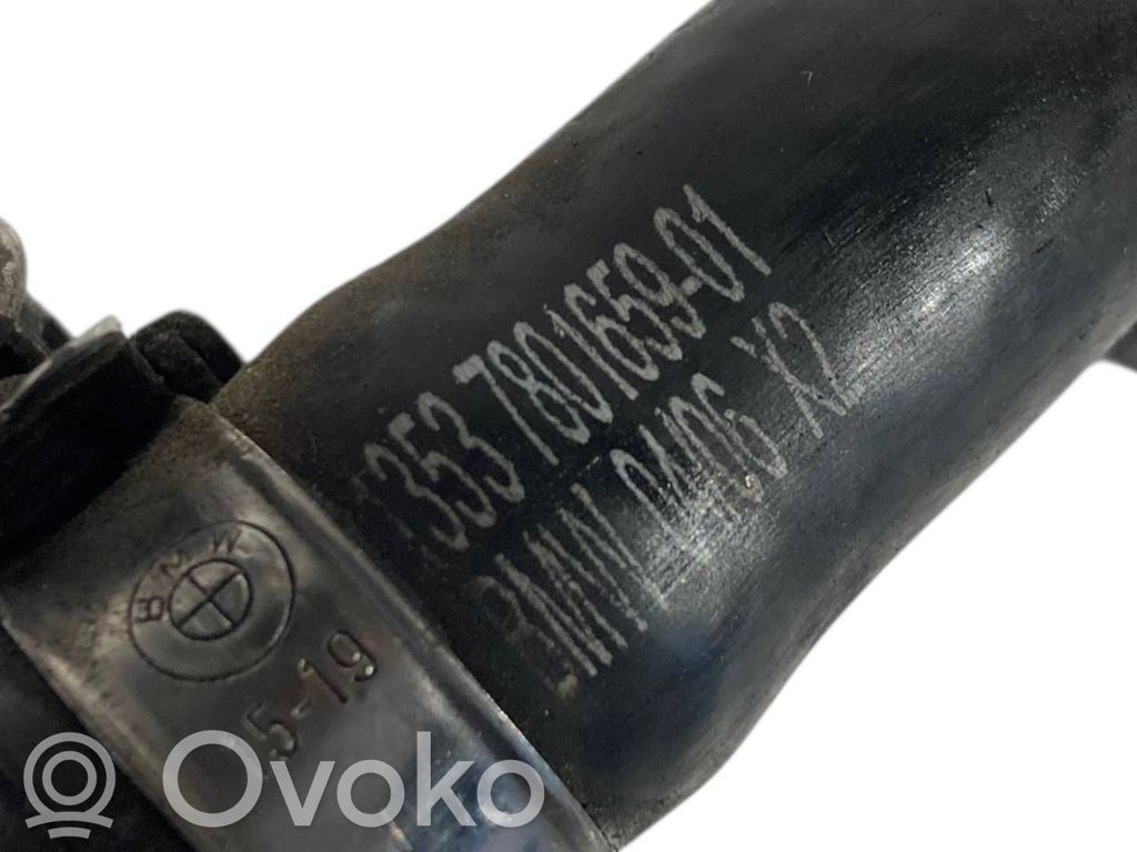 Caurule (-es) / šļūtene (-es)