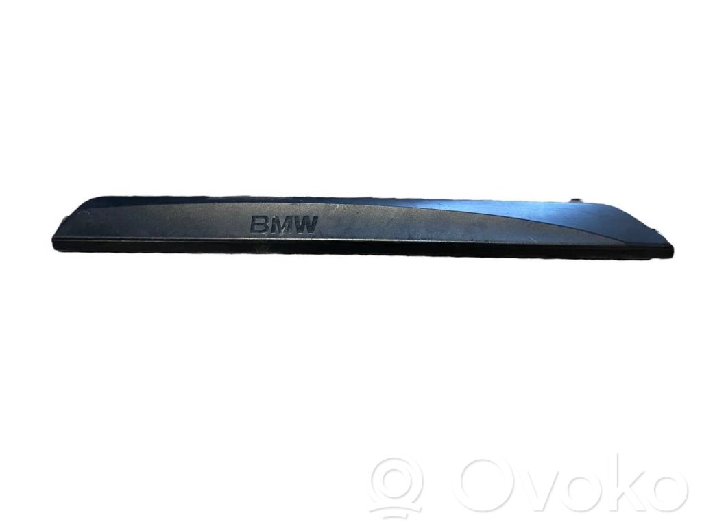Front sill trim (inner)