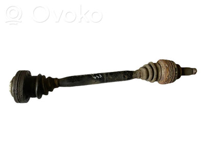 Aizmugurējā pusass