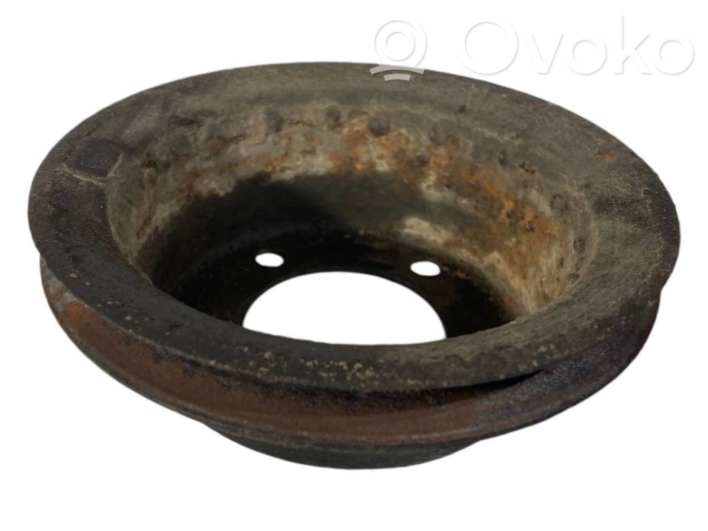 Ūdenssūkņa skriemelis