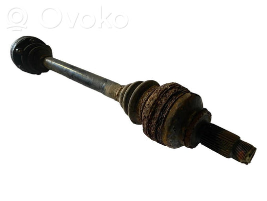 Aizmugurējā pusass