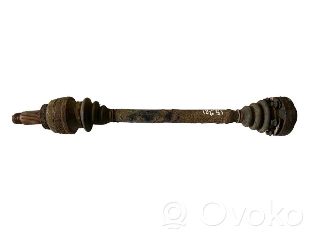 Aizmugurējā pusass