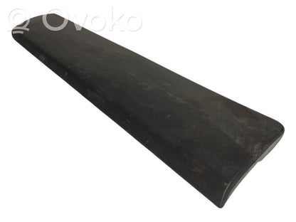 Aizmugurē durvju dekoratīvā apdare (moldings)