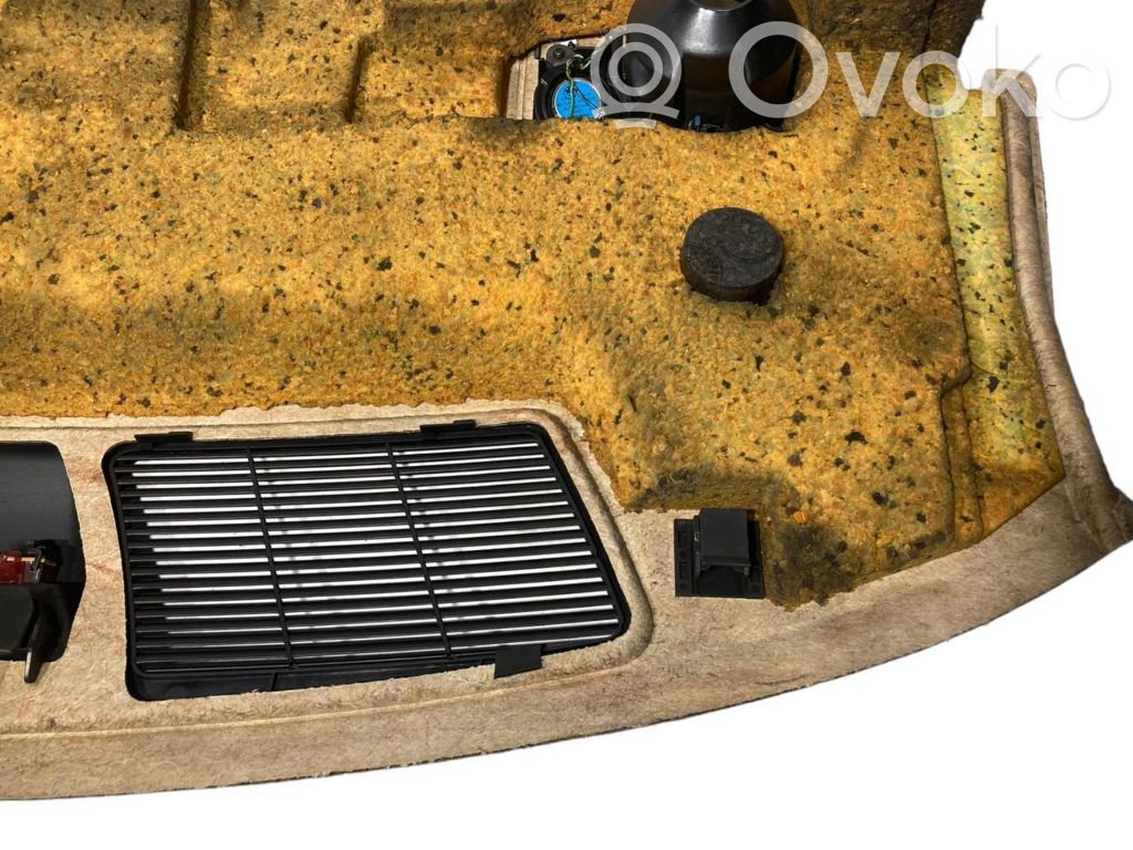 Aizmugurējā palodze