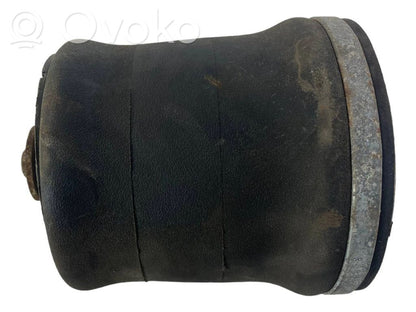 Aizmugurē gaisa spilvens