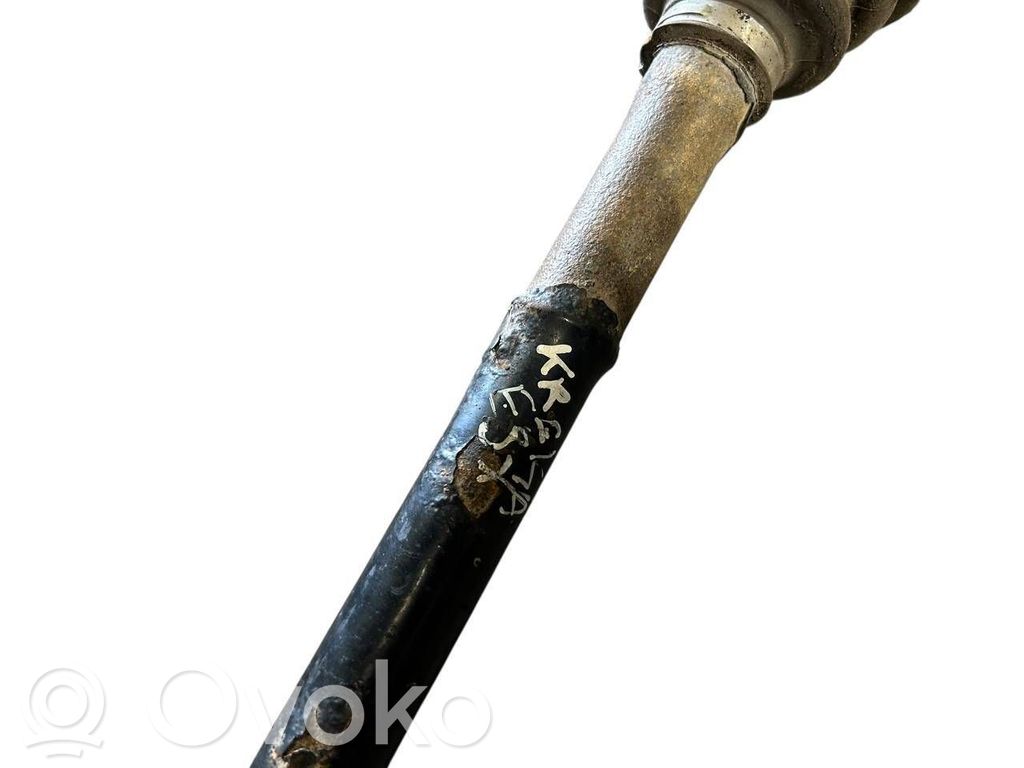 Aizmugurējā pusass