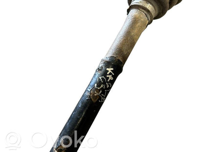 Aizmugurējā pusass