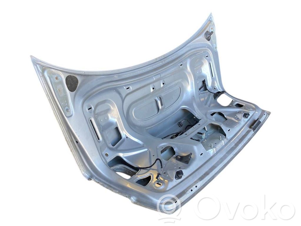 Aizmugurējais pārsegs (bagāžnieks)