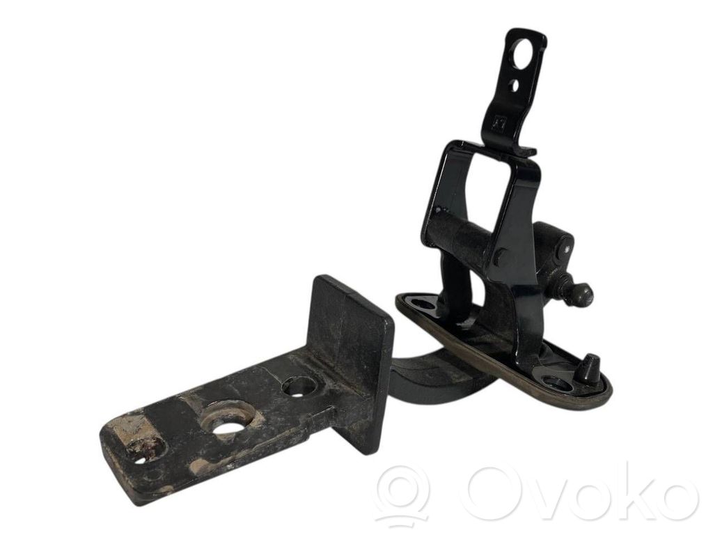 Aizmugurējā pārsega eņģe (-ess)