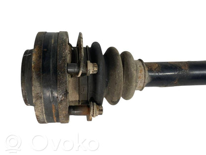 Aizmugurējā pusass