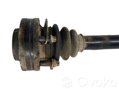 Aizmugurējā pusass