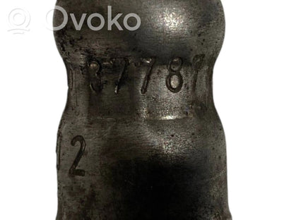 Caurule (-es) / šļūtene (-es)