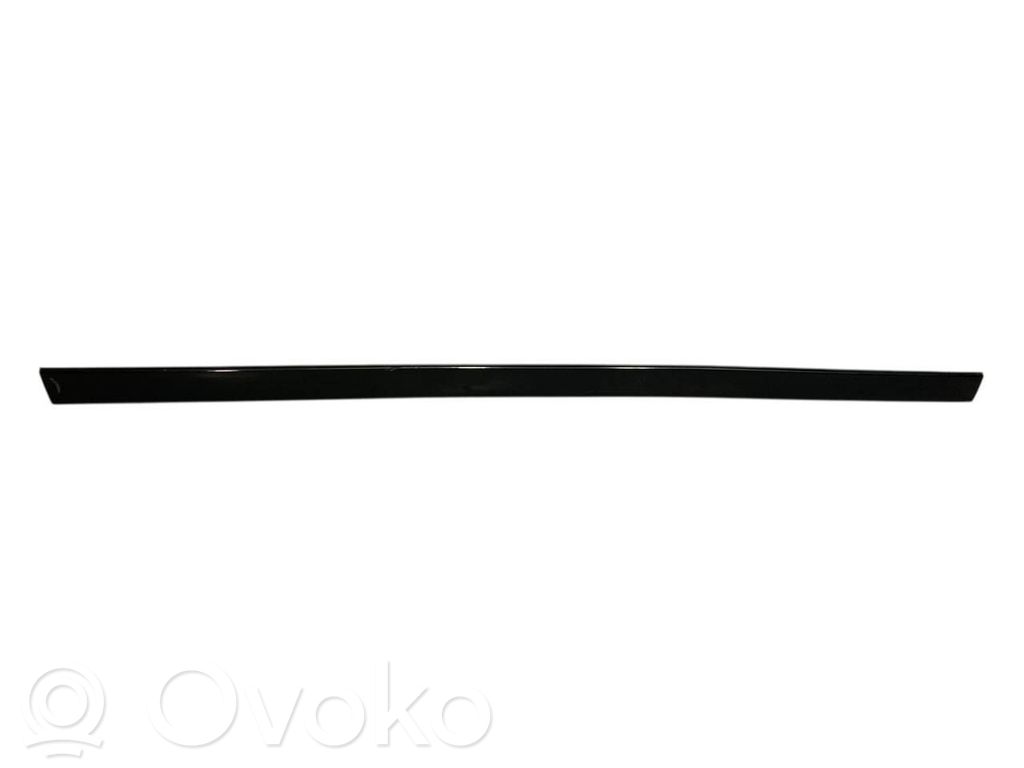 Aizmugurē durvju dekoratīvā apdare (moldings)