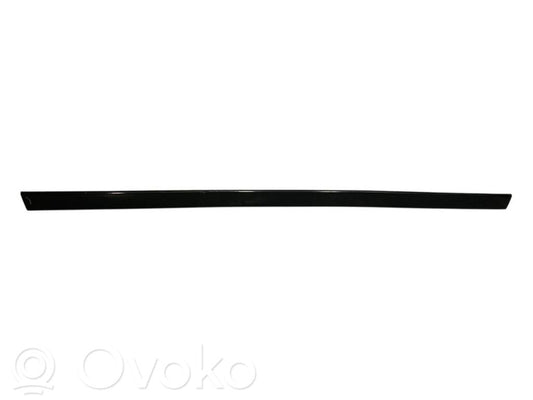 Aizmugurē durvju dekoratīvā apdare (moldings)