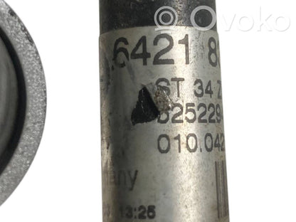 Caurulīte (-es) / šļūtene (-es)