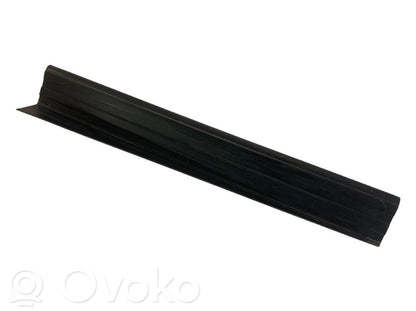 Rear door sill trim (external)