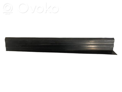 Rear door sill trim (external)