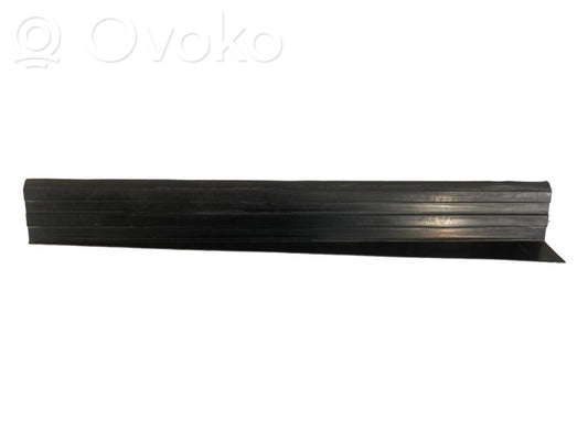 Rear door sill trim (external)