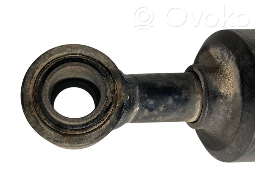 Rear shock absorber with spring