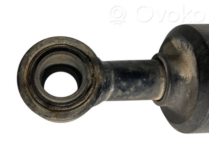 Rear shock absorber with spring