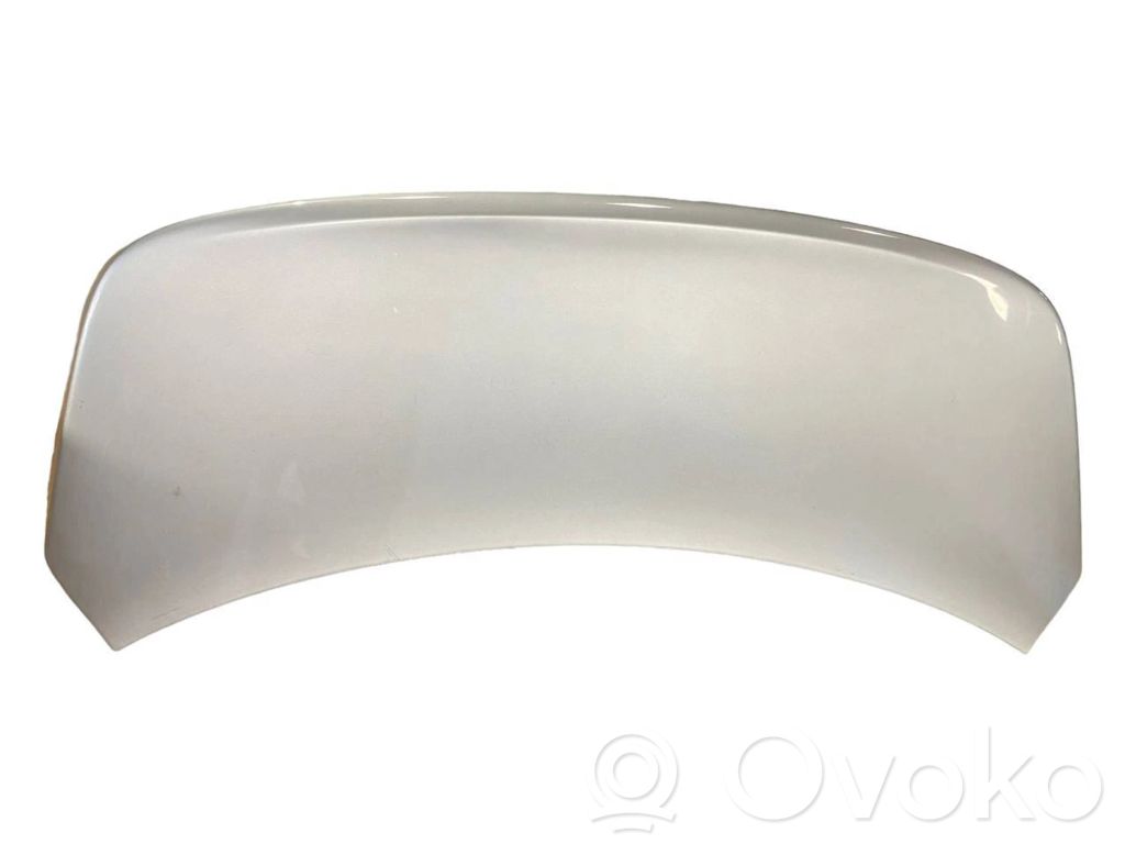 Aizmugurējais pārsegs (bagāžnieks)