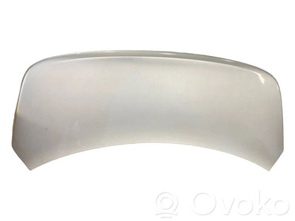 Aizmugurējais pārsegs (bagāžnieks)