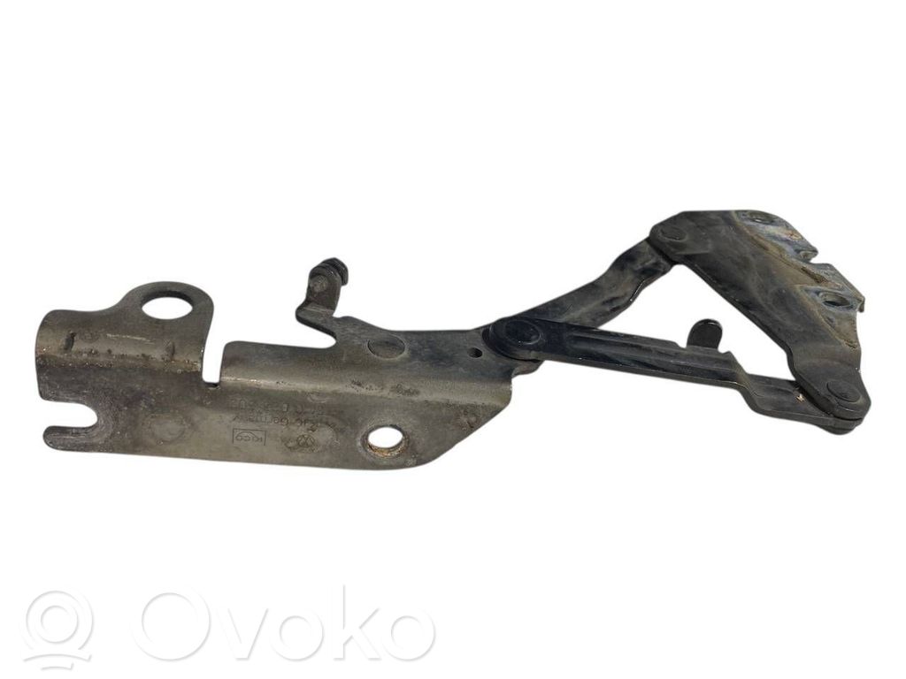 Dzinēja pārsega eņģe (-es)