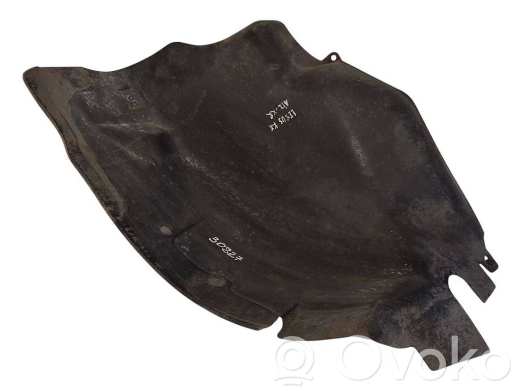 Aizmugurējais apakšspārns