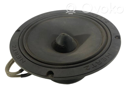 Динамик(и) в передней двери