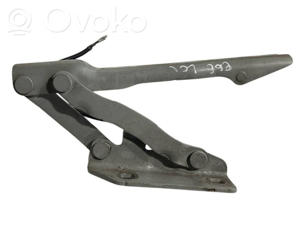 Петли капота двигателя