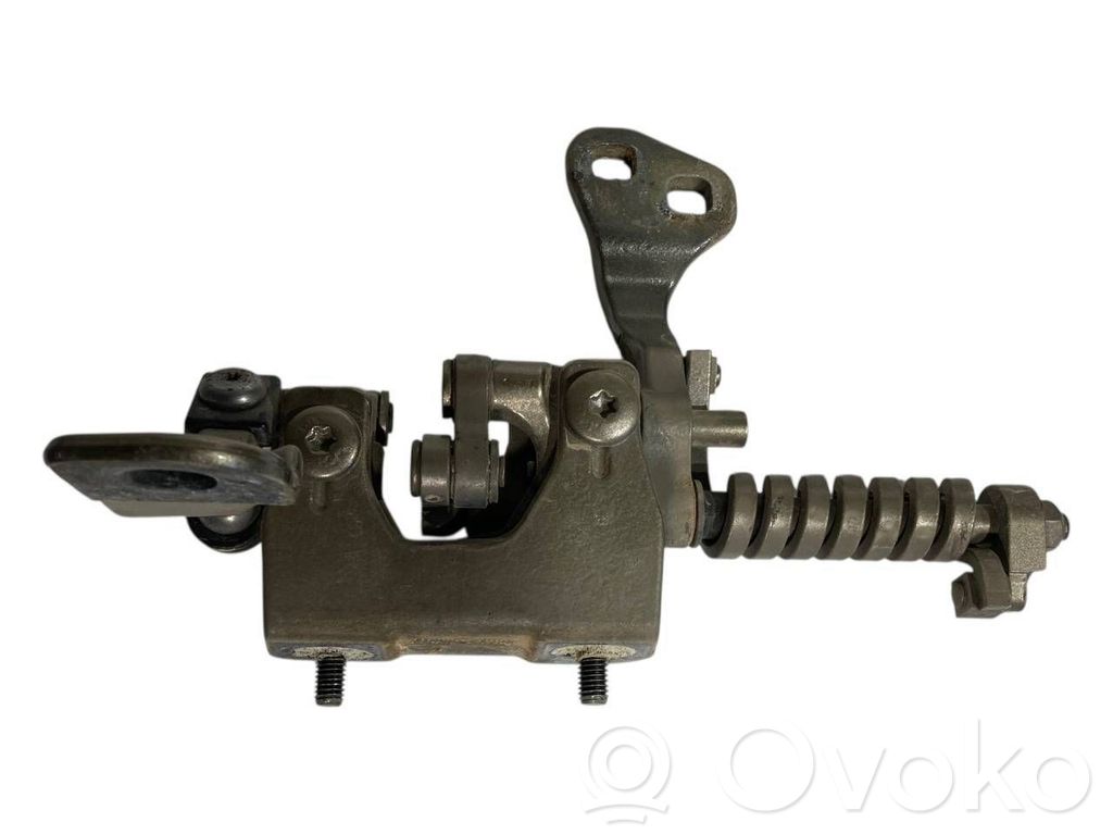 Задняя крышка петли(ей)