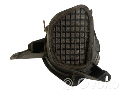 Speaker(s) in front door