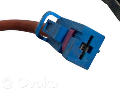 Plusa vads (akumulatora)