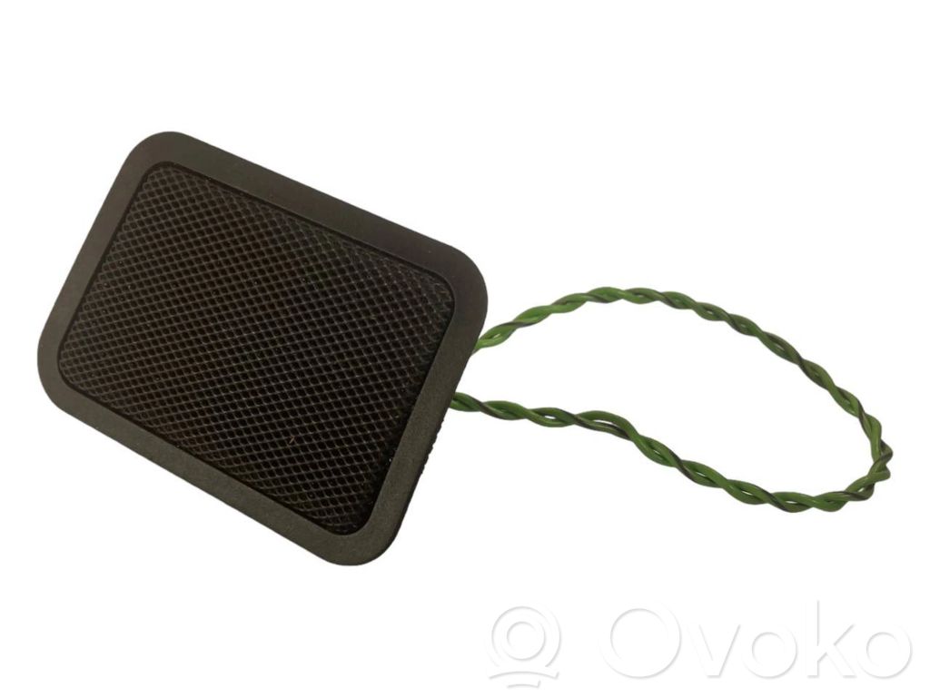 Динамик(и) в задней двери