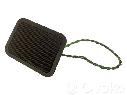 Динамик(и) в задней двери