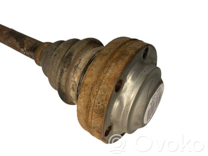 Aizmugurējā pusass