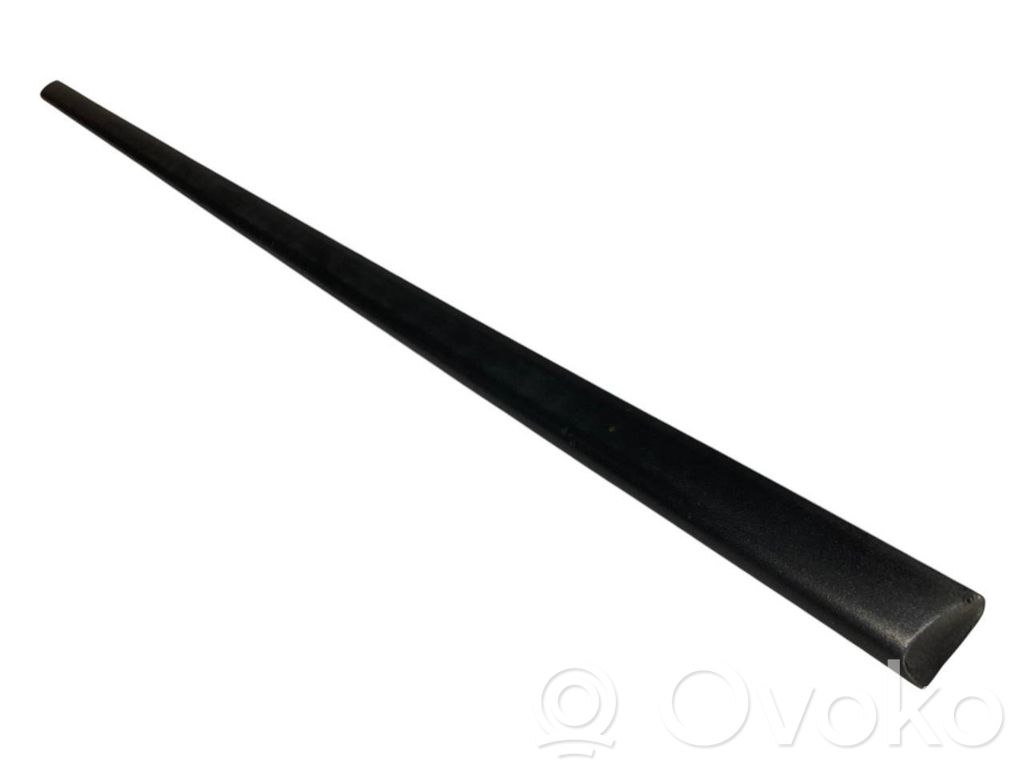 Front door decorative trim (molding)