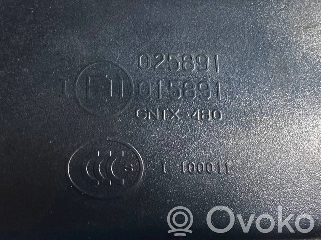 Rearview mirror (inside)