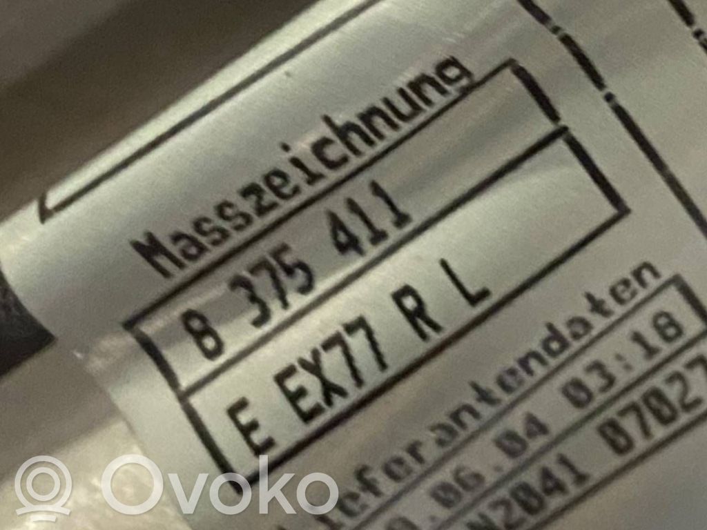 Aizmugurējās durvis