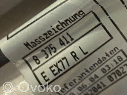 Aizmugurējās durvis